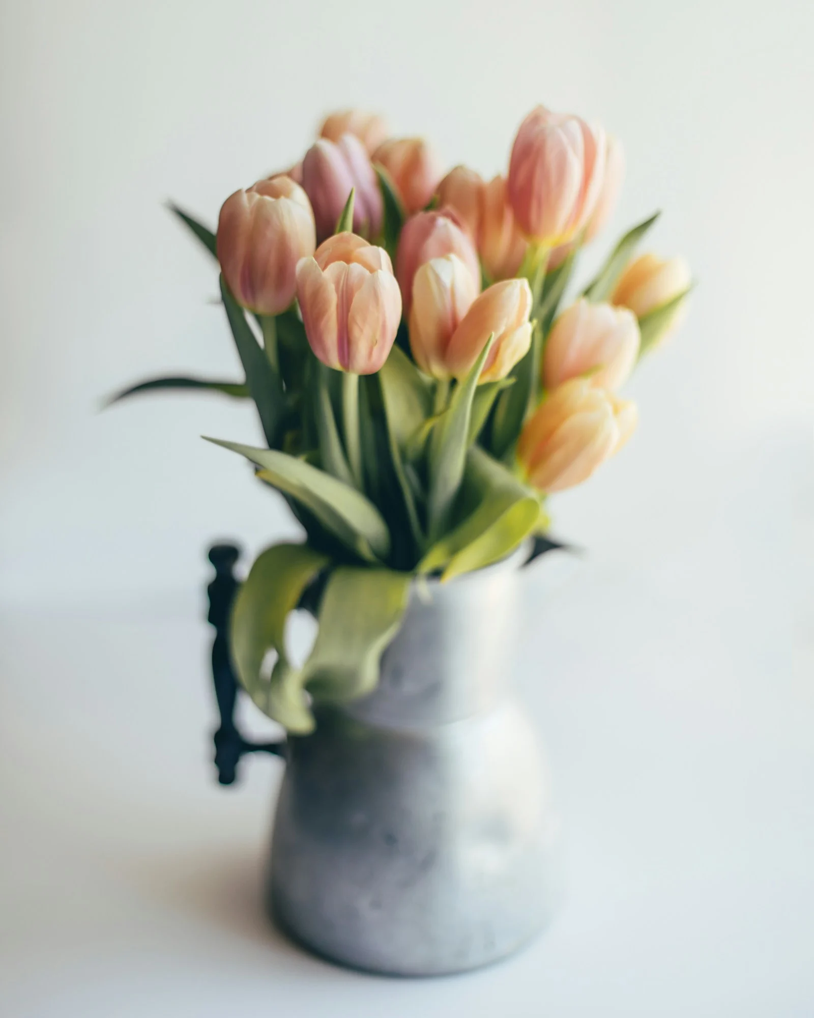 Tulipes pêche dans un vase, photographie d’ambiance